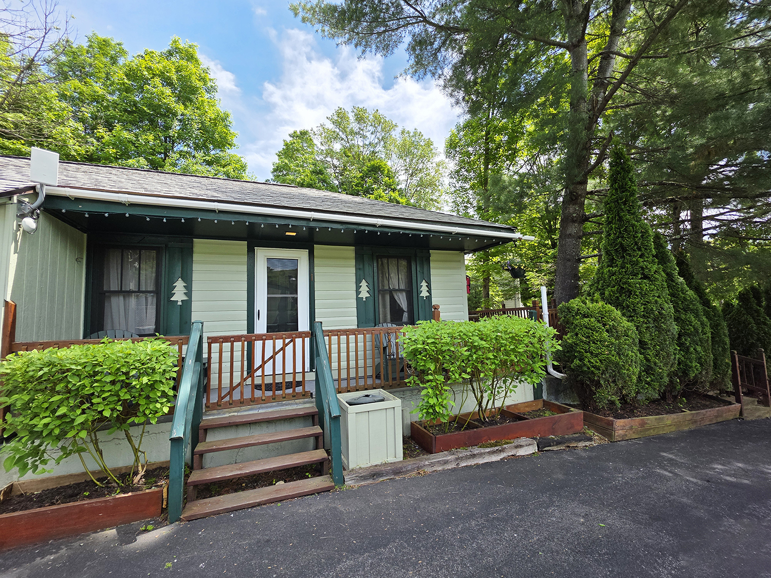 Cabin 1 -5